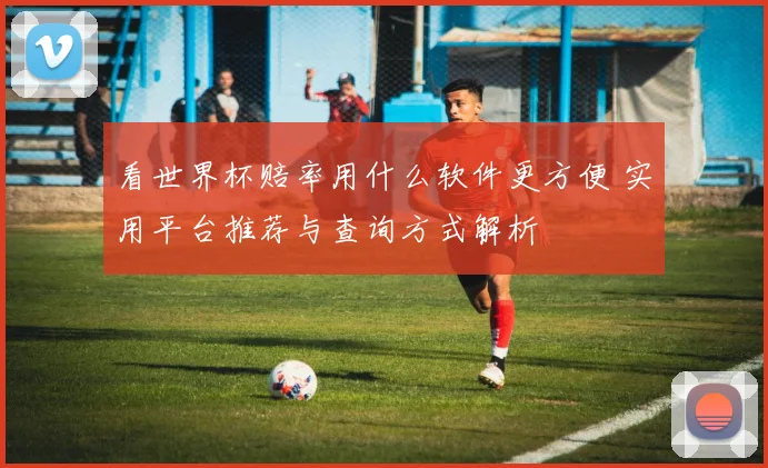 看世界杯赔率用什么软件更方便 实用平台推荐与查询方式解析