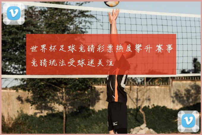 世界杯足球竞猜彩票热度攀升 赛事竞猜玩法受球迷关注