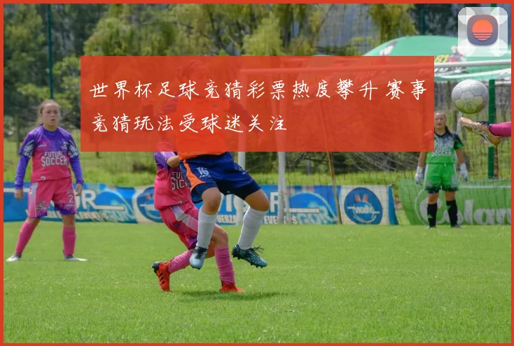 世界杯足球竞猜彩票热度攀升 赛事竞猜玩法受球迷关注