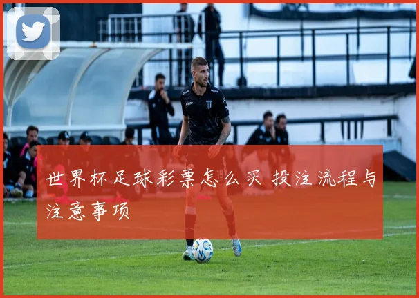 世界杯足球彩票怎么买 投注流程与注意事项