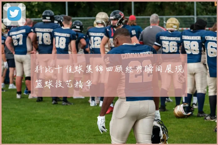 科比十佳球集锦回顾经典瞬间展现篮球技艺精华