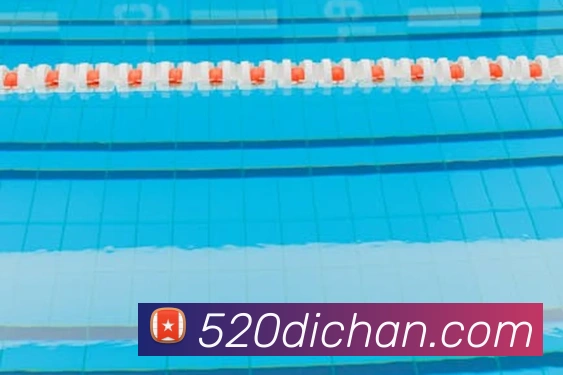 8868.cn直接登录服务体系